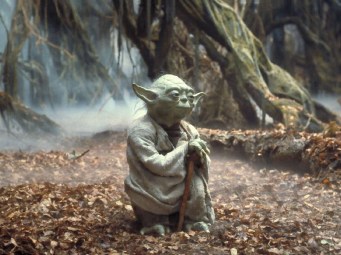 Yoda